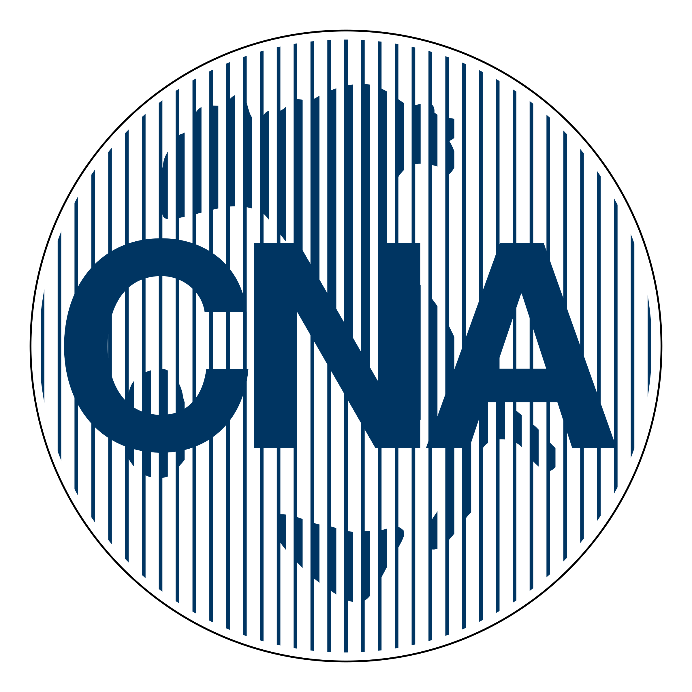 CNA Surety logo